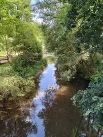 foto Louro
