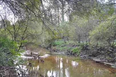 R&iacute;o Louro