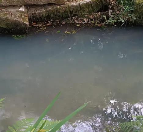 R&iacute;o Fonteli&ntilde;o
