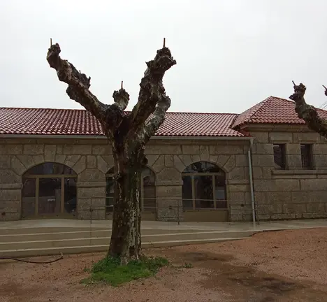Escola infantil
