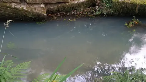 R&iacute;o Fonteli&ntilde;o