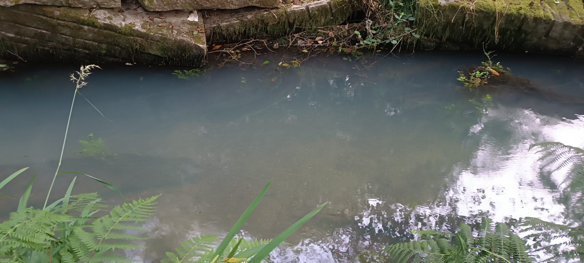 Río Fonteliño